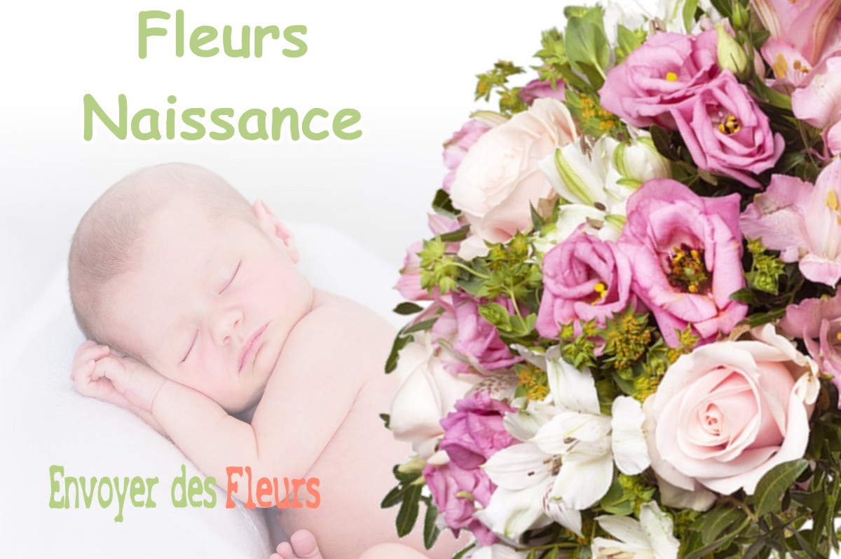 lIVRAISON FLEURS NAISSANCE à MURET